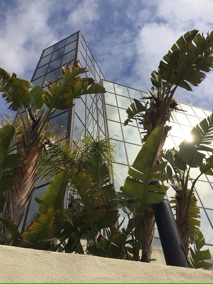 Sustainable Architecture for Banks in Nigeria: Eco-Friendly Design and Construction